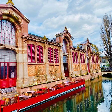 Appartement Spacieux A Colmar Avec Terrasse, Garage Privatif, Proche Centre Et Gare - Fr-1-722-2 Kültér fotó