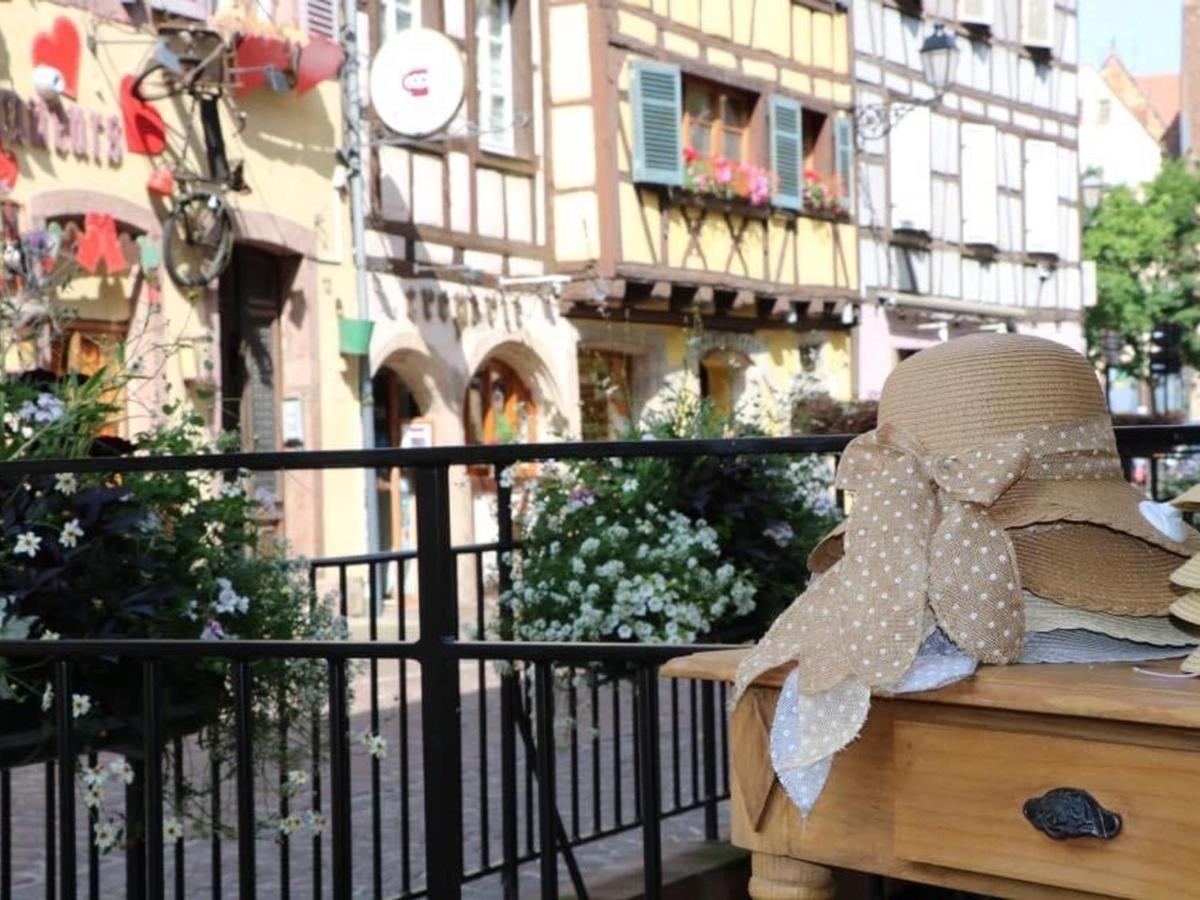 Appartement Spacieux A Colmar Avec Terrasse, Garage Privatif, Proche Centre Et Gare - Fr-1-722-2 Kültér fotó